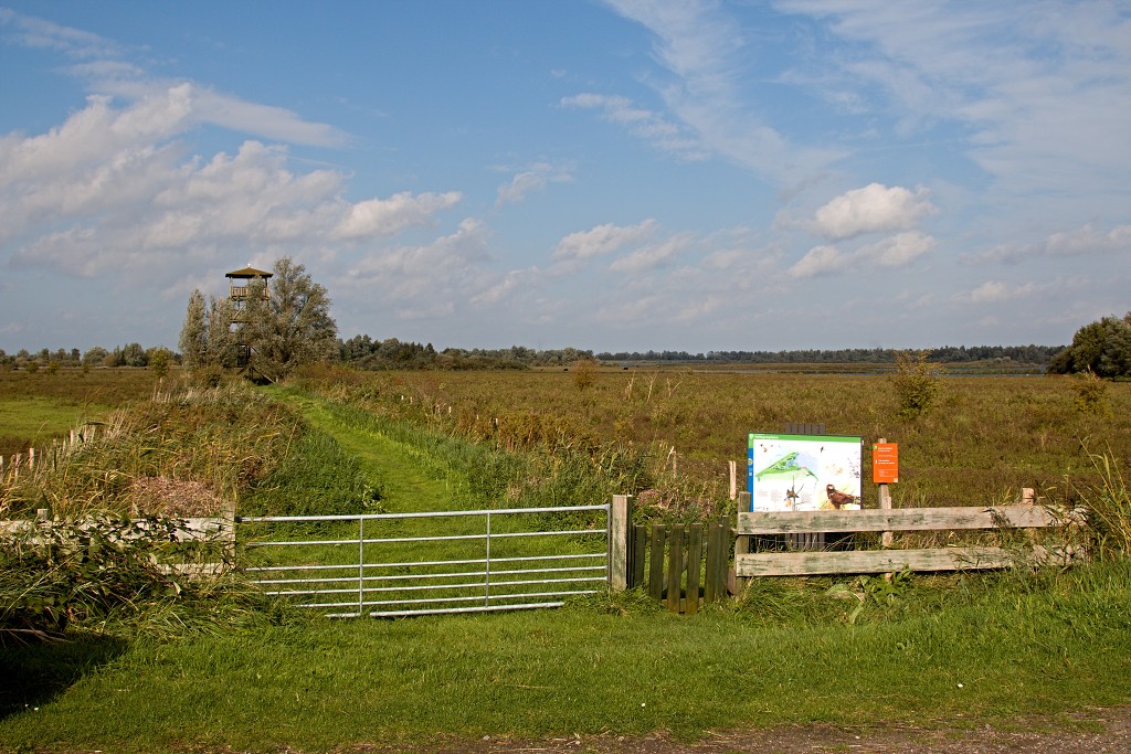 hellegatsplaten natuurgebied natuur staatsbosbeheer goeree overflakkee heckrunderen hdr fjordenpaarden vogelkijkhut